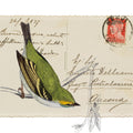 Postcard Bird I Mural Wallpaper - pure wallpaper artwork