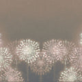 Harmony Allium Blooms Mural Wallpaper - pure wallpaper artwork