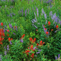 Yellowstone Wildflower Mural Wallpaper - pure wallpaper artwork