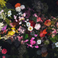 Trail of Dreams Black Mural Wallpaper - pure wallpaper artwork