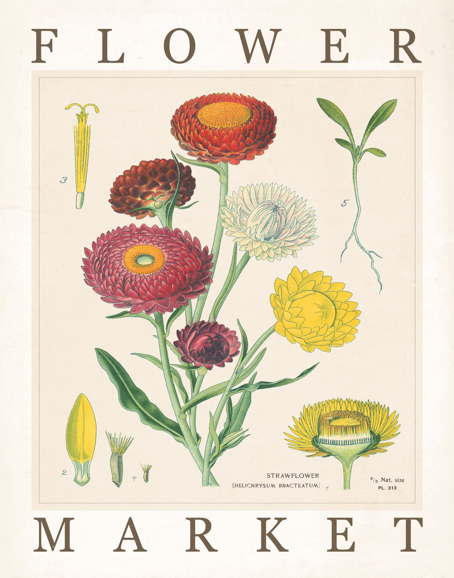 Flower Market Chart I Mural Wallpaper