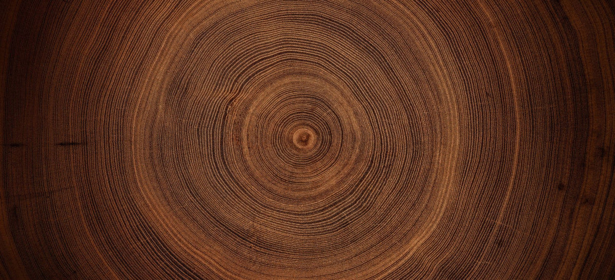 Timber Core Mural Wallpaper - pure wallpaper artwork