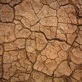 Mesquite Dunes Mural Wallpaper - pure wallpaper artwork