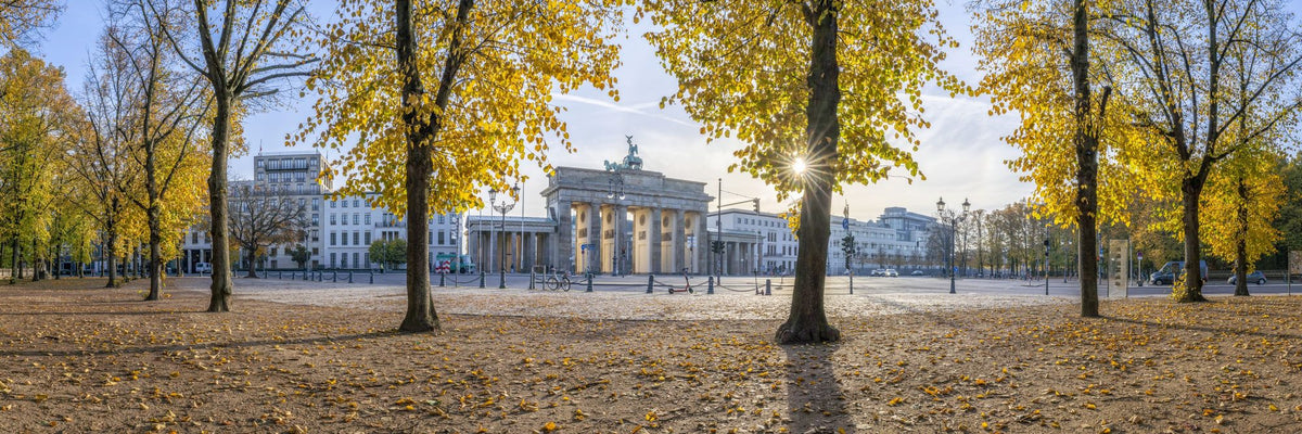Brandenburg in Fall Mural Wallpaper - pure wallpaper artwork