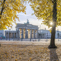 Brandenburg in Fall Mural Wallpaper - pure wallpaper artwork