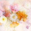 Ethereal Dahlias Mural Wallpaper - pure wallpaper artwork