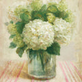 Cottage Hydrangeas in White Mural Wallpaper - pure wallpaper artwork
