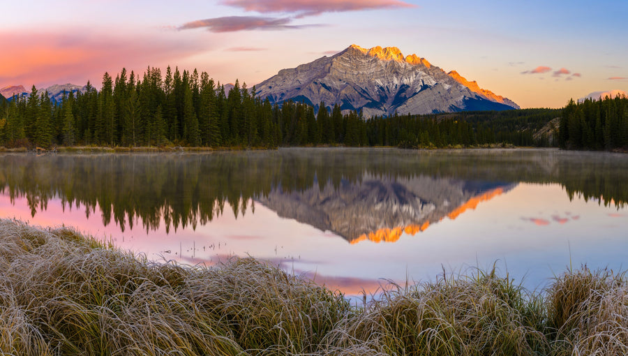 Carrot Creek Pond Mural Wallpaper