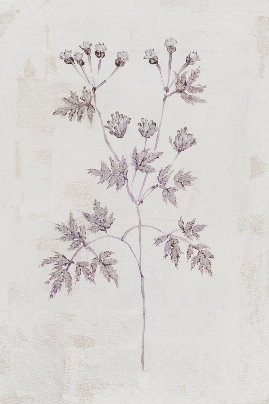 Delicate Meadow IV Mural Wallpaper