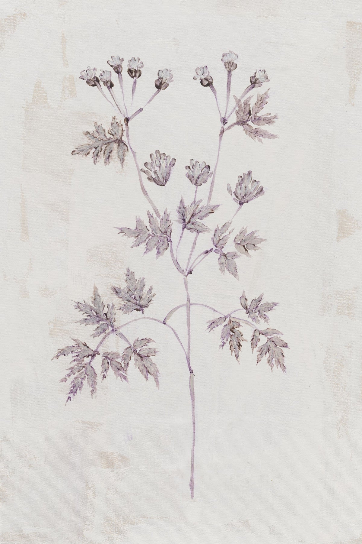Delicate Meadow IV Mural Wallpaper - pure wallpaper artwork