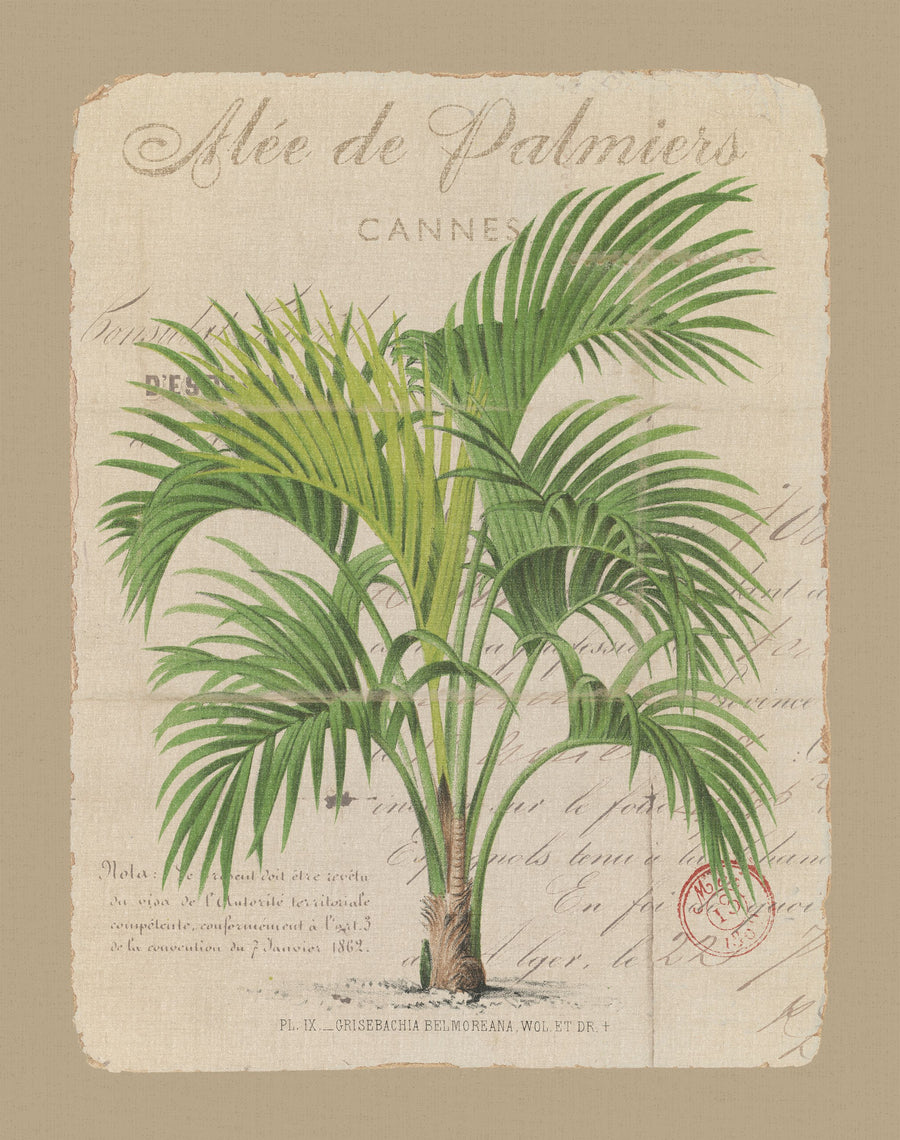 Alee De Palmiers Mural Wallpaper
