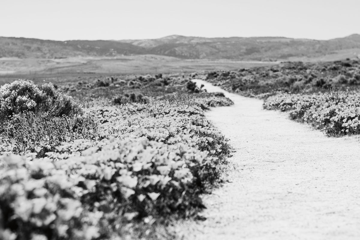 Road Trip VI Mural Wallpaper - pure wallpaper artwork
