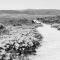 Road Trip VI Mural Wallpaper - pure wallpaper artwork