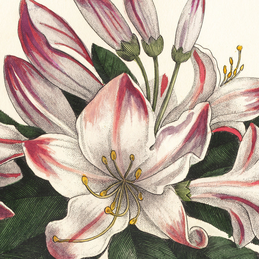 Botanique Square II Mural Wallpaper