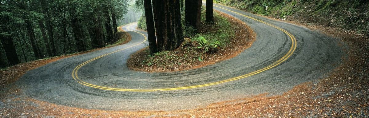 Serpentine Forest Mural Wallpaper - pure wallpaper artwork