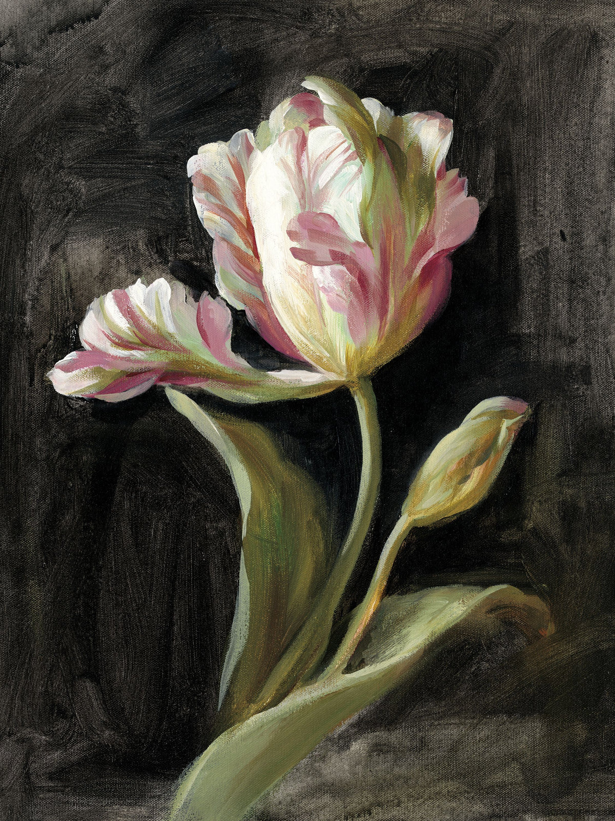 Tulip on Black Mural Wallpaper - pure wallpaper artwork
