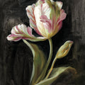 Tulip on Black Mural Wallpaper - pure wallpaper artwork