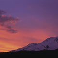 Violet Summit Mural Wallpaper - pure wallpaper artwork
