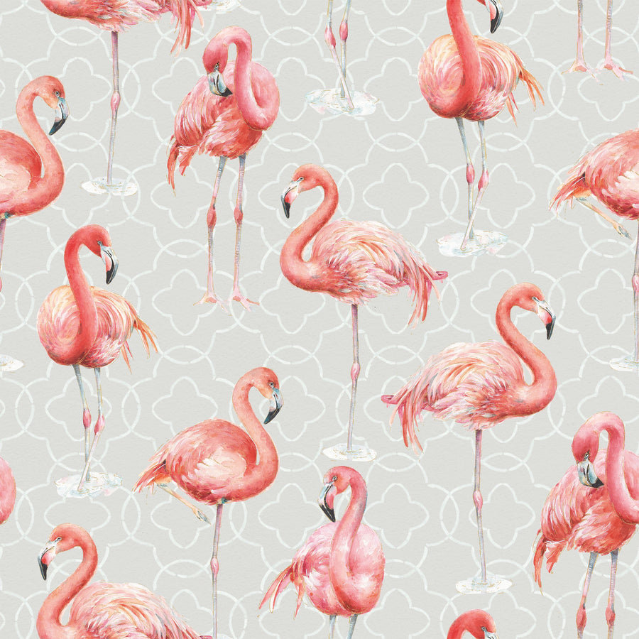 Flamingo Goals Gray Mural Wallpaper