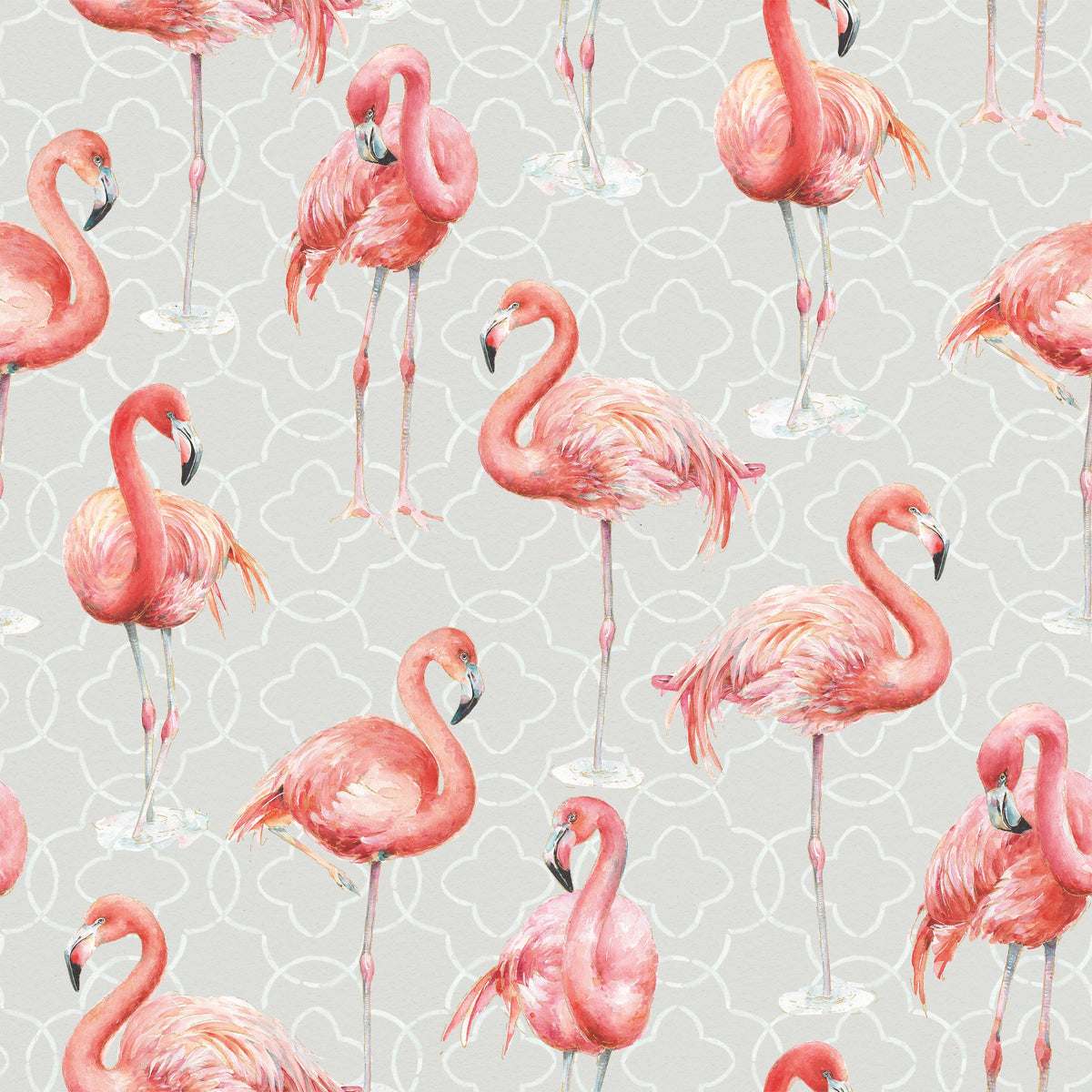 Flamingo Goals Gray Mural Wallpaper - pure wallpaper artwork