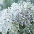 Subtle Shifts Hydrangea Mural Wallpaper - pure wallpaper artwork