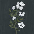 Pretty Little Flower III Black Mural Wallpaper - pure wallpaper artwork