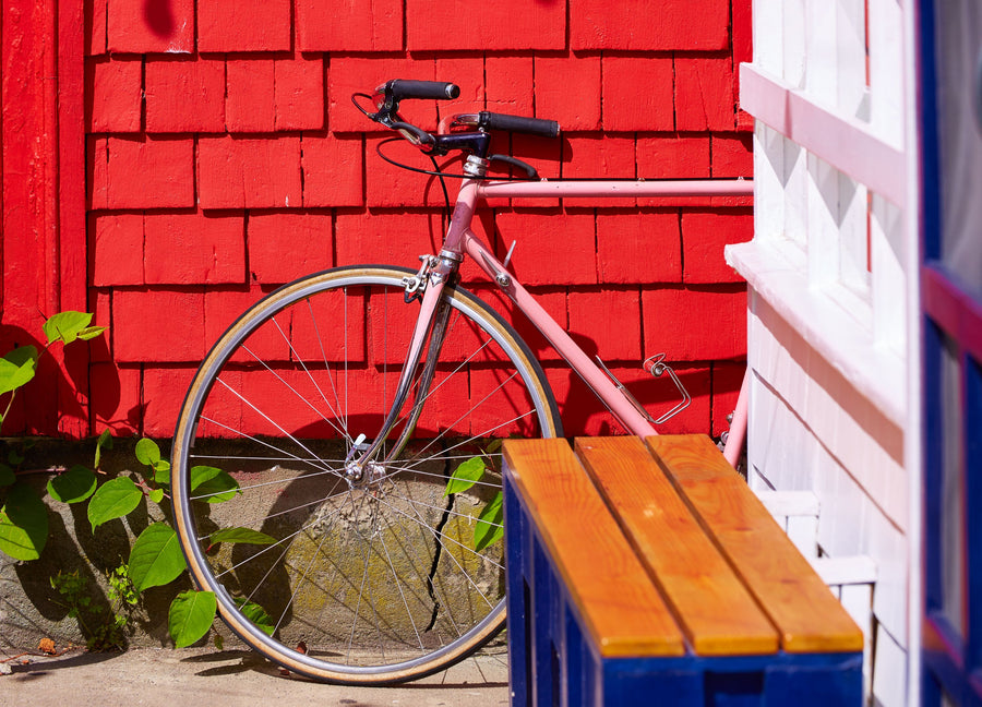 Cape Cod Biking Mural Wallpaper