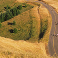 Cycling Through Golden Hills Mural Wallpaper - pure wallpaper artwork