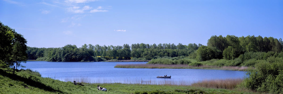 Lakeside Companions Mural Wallpaper - pure wallpaper artwork