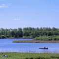 Lakeside Companions Mural Wallpaper - pure wallpaper artwork