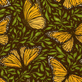 Papillion I, Chocolate & Green Mural Wallpaper - pure wallpaper artwork