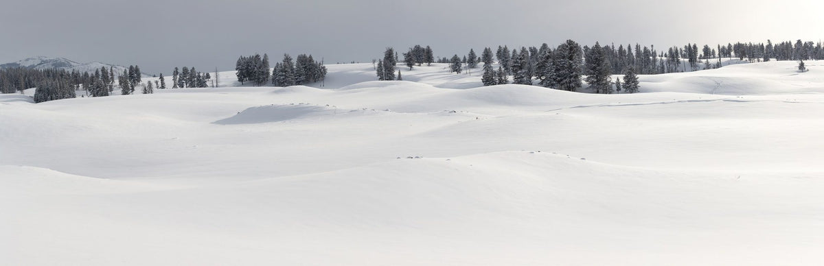 Fresh Snow Mural Wallpaper - pure wallpaper artwork