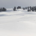 Fresh Snow Mural Wallpaper - pure wallpaper artwork