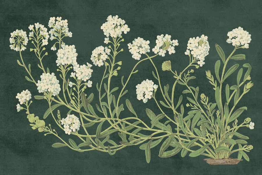Vintage Flowers on Green Mural Wallpaper