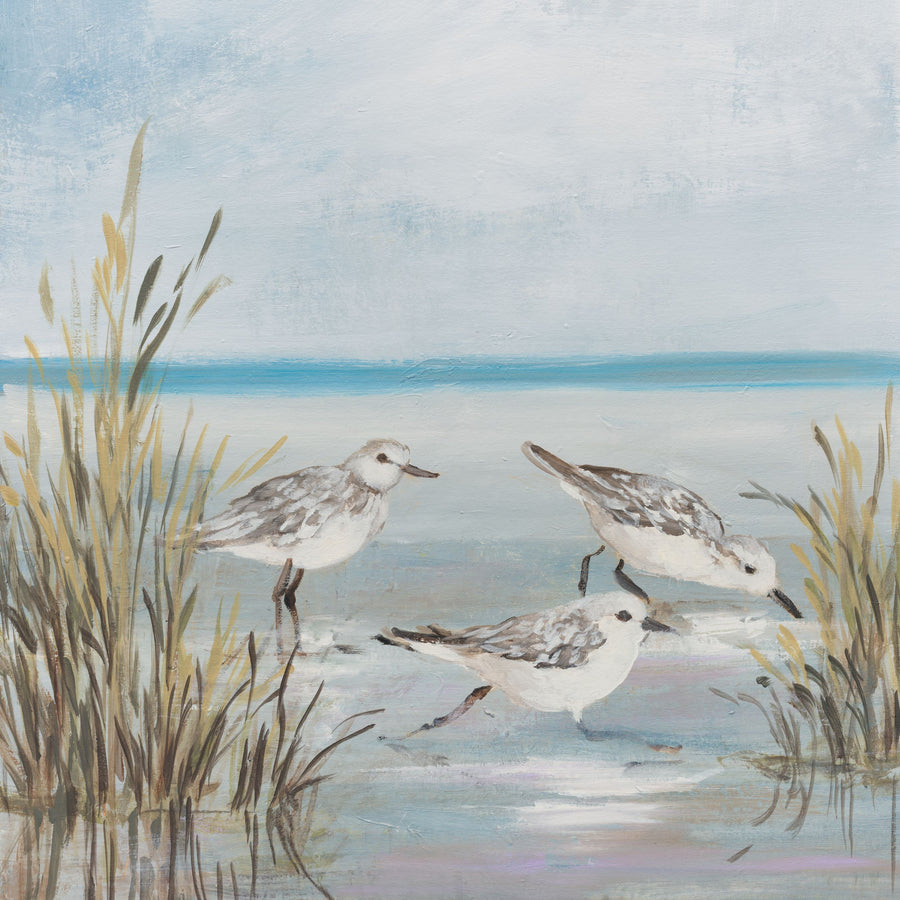 Beach Birds II Mural Wallpaper