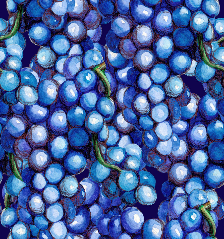 Lustrous Vineyard Mural Wallpaper