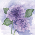Dimensional Hydrangea I Mural Wallpaper - pure wallpaper artwork
