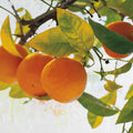Oranges I Mural Wallpaper - pure wallpaper artwork