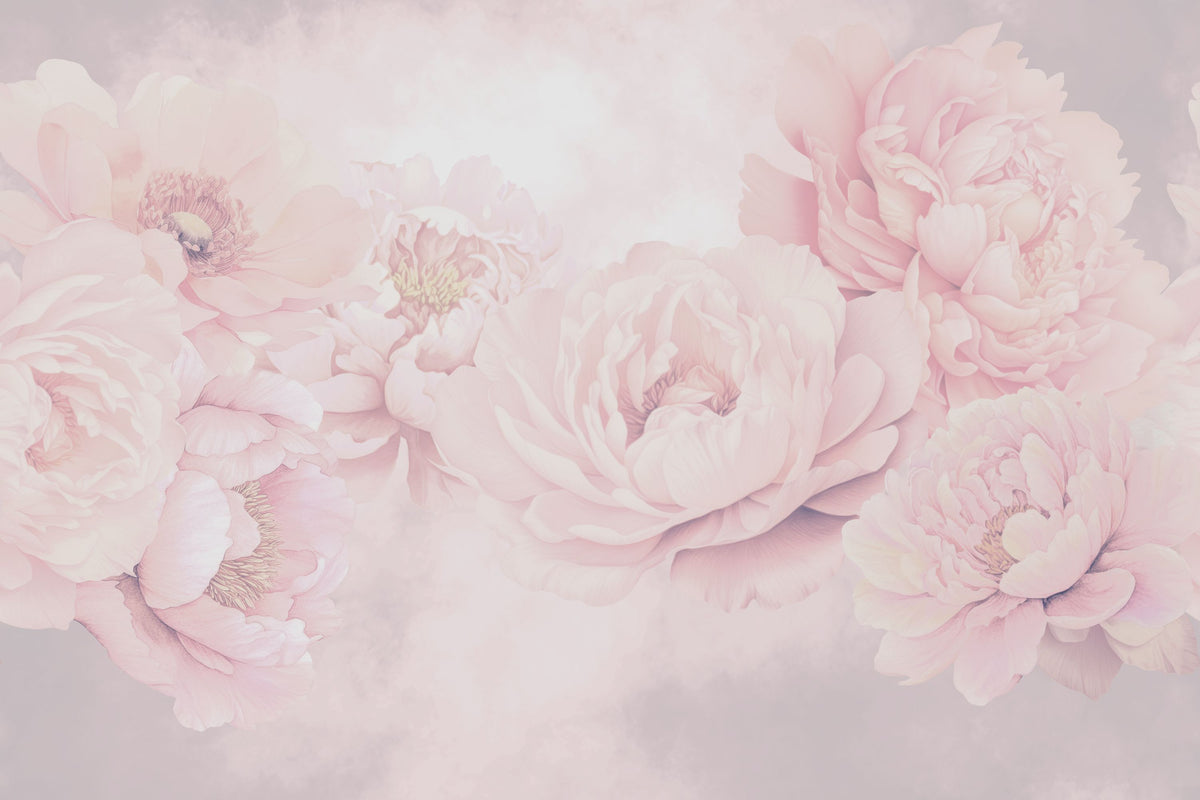 Transcendent Peony, Dusty Pink Mural Wallpaper - pure wallpaper artwork