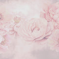Transcendent Peony, Dusty Pink Mural Wallpaper - pure wallpaper artwork