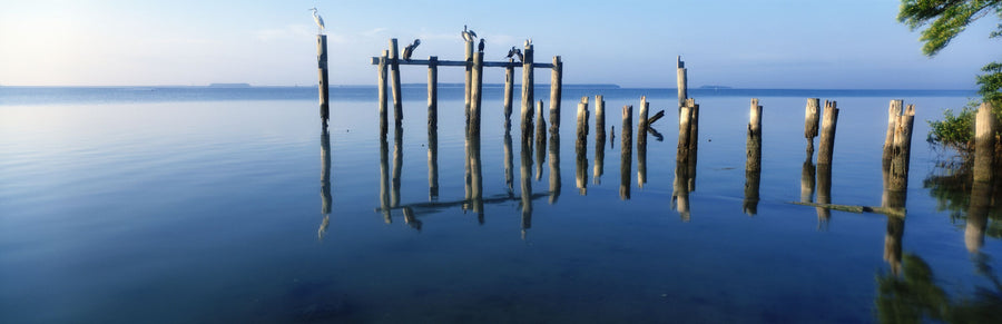Everglades Pier Mural Wallpaper