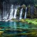 Shiraito Falls Mural Wallpaper - pure wallpaper artwork