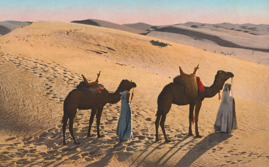 Desert Crossing Postcard Mural Wallpaper