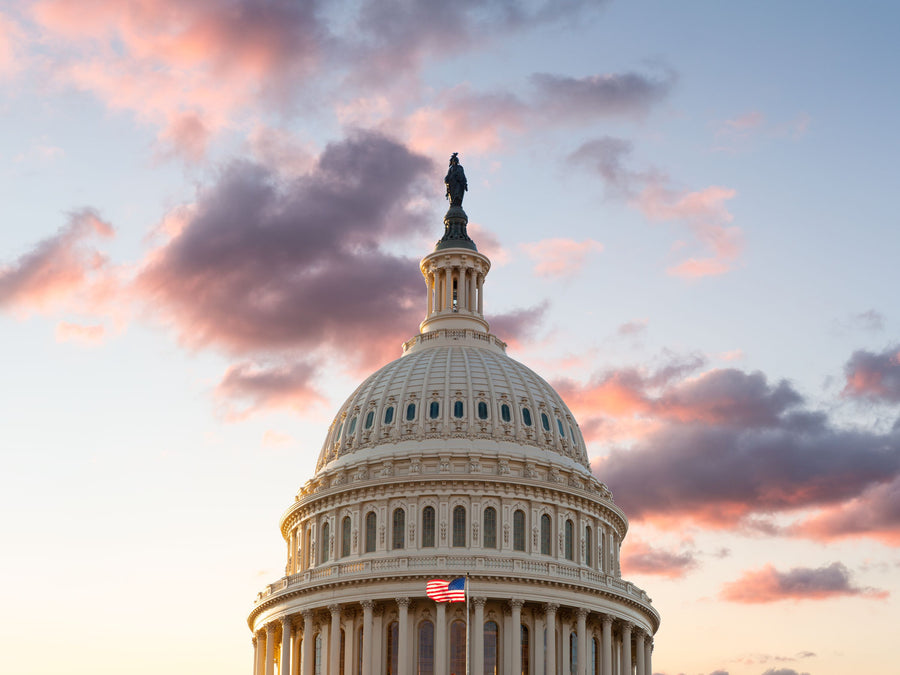 US Capitol Mural Wallpaper