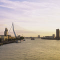 Golden Harbor Bridge Mural Wallpaper - pure wallpaper artwork