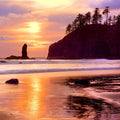 Second Beach Mural Wallpaper - pure wallpaper artwork