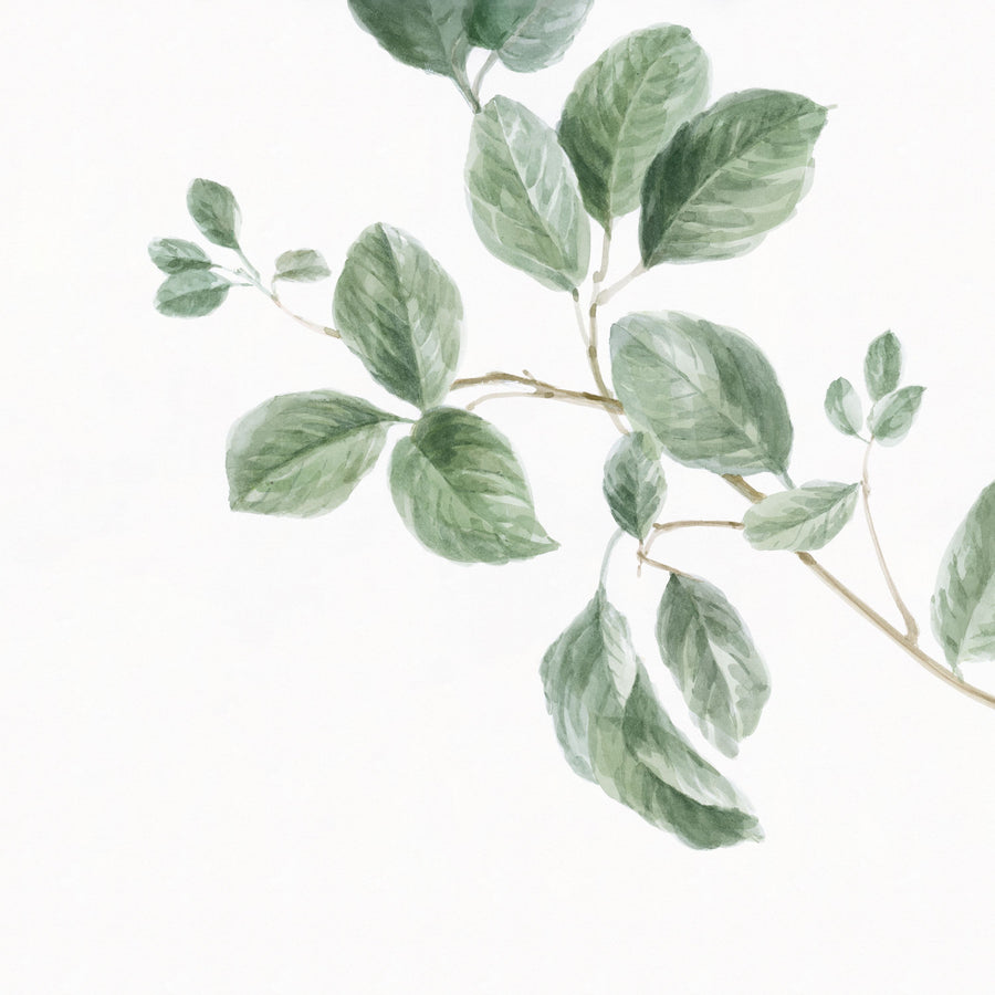 A Study of Leaves Mural Wallpaper