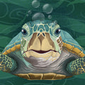 Hello Turtle, Emerald Mural Wallpaper - pure wallpaper artwork