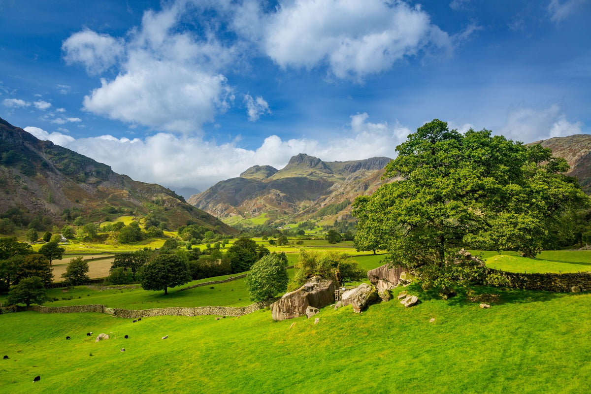 Summer Valley Mural Wallpaper - pure wallpaper artwork