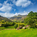 Summer Valley Mural Wallpaper - pure wallpaper artwork